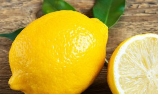 家养香水柠檬怎么养 香水柠檬怎么养家庭养法