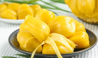 菠萝蜜储存技巧（菠萝蜜储存技巧视频）