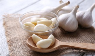 大蒜储存技巧（大蒜储存技巧视频）