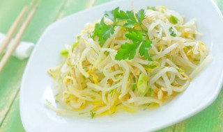 豆芽储存技巧（豆芽储存技巧视频）