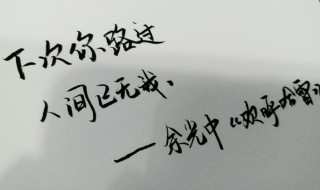 下次你路过人间已无我什么意思 下次你路过人间已无我下一句怎么说