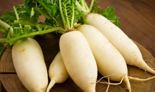 秋季种植的蔬菜有哪些（秋季种植的蔬菜有哪些图片）