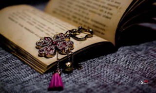 宁为鸡首不为牛后的意思（宁为鸡首勿为牛后）