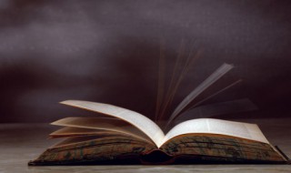 风萧萧兮易水寒壮士一去不复返意思 风萧萧兮易水寒壮士一去不复返意思是什么描写