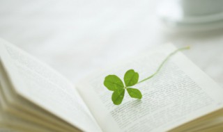 垂死病中惊坐起什么意思（垂死病中惊坐起?）