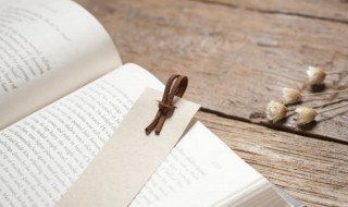 纲举目张执本末从什么意思（秉纲目自张执本而末自从意思）