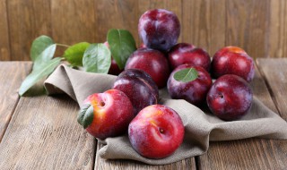 李子要怎么进行修剪 李子要怎么进行修剪呢