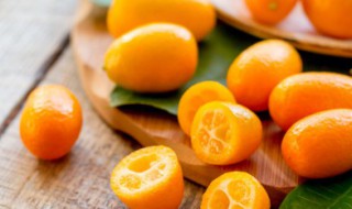 金桔树怎么养能结果（金桔树可以养多久）