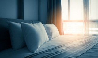 大岩桐花放在哪养最适合（大岩桐花适合在室内养吗）