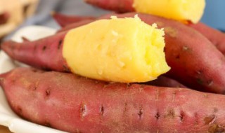 地瓜高产种植技术要点（地瓜高产栽培技术要点）