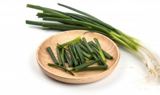 小葱烂根怎么办（小葱烂根怎么办视频）