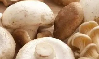 孕妇宝宝能吃蘑菇吗 孕妇可以吃蘑菇吗对胎儿有影响吗