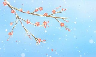 冬至的著名诗句至的诗词佳句（冬至诗句古诗大全）