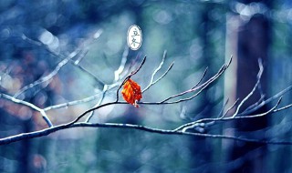 立冬节气出生的人是什么命 立冬这一天出生的人