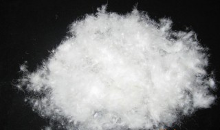 白鸭绒和白鹅绒哪种好（白鸭绒与白鹅绒哪种好）