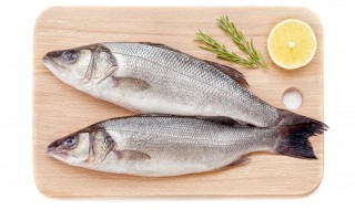 海鲈鱼和淡水鲈鱼哪个贵（海鲈鱼贵还是淡水鲈鱼贵）