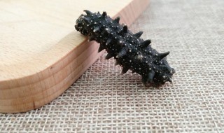 正宗葱烧海参的做法（正宗葱烧海参的做法视频）