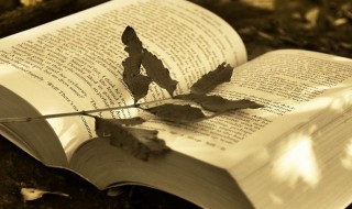 下午好最短精句 下午心情短句