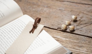 攻其一点不及其余是什么意思 攻其一点不及其余打一数目字