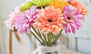 什么花能放在卧室（什么花能放在卧室对身体没伤害）