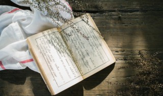 代人说项是什么意思