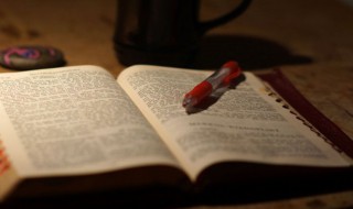 女人高雅温柔名字（女生温柔优雅的名字）