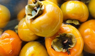 懒柿子几天能吃 懒柿子可以直接吃吗