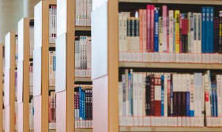 单缞的意思是什么 亻单是什么字