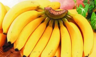 吃什么瘦肚子最有效的（吃啥瘦肚子最快）