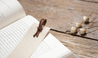 桥归桥路归路是什么意思 桥归桥路归路是什么意思告诉我们的启发是什么