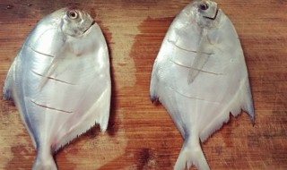 白仓鱼怎么做好吃（白鲳鱼怎么做好吃视频）