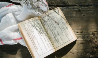 百宝万货是什么意思 百宝万货是成语吗