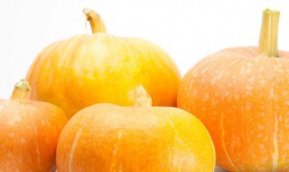 大南瓜和小南瓜的区别（大南瓜和小南瓜的区别图片）