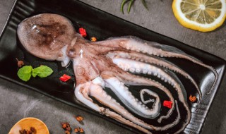 章鱼腿的做法 章鱼腿的做法视频