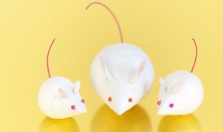 梦见踩到老鼠是什么意思（梦见踩到老鼠是什么意思啊）