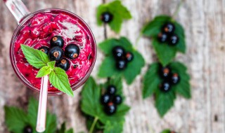 黑莓水果怎么保存 黑莓水果怎么保存方法