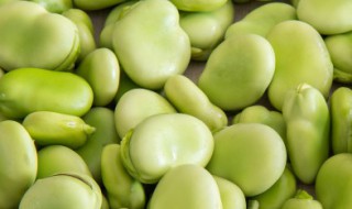 新鲜蚕豆怎么保存 新鲜蚕豆怎么保存放冰箱