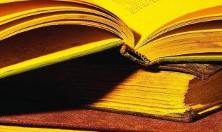 阳光网名女生清新可爱 阳光网名女生清新可爱霸气