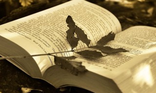 最适合女人稳重和优雅的网名（最适合女人稳重和优雅的网名成语好听的网名）