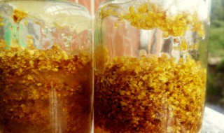 鲜桂花怎么处理才能泡水喝 鲜桂花可不可以泡开水喝