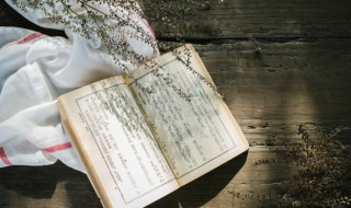 茈怎么读（茈怎么读什么意思）