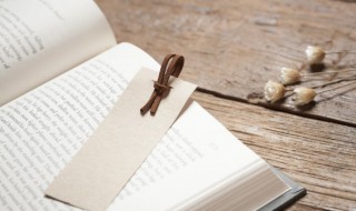 砳怎么读（硕怎么读）