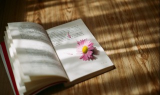 谵怎么读（谵怎么读什么意思）