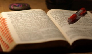 聪明优雅大方的女孩名字（优雅大方的女孩名字精选）