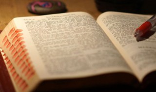 好听稀有的两字网名（好听稀有的两字网名男）