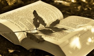 激励人生的短句经典（激励人生的短句经典语句）