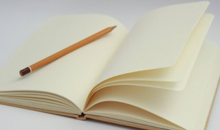 特别皮的游戏名字 特别皮的游戏名字王者荣耀