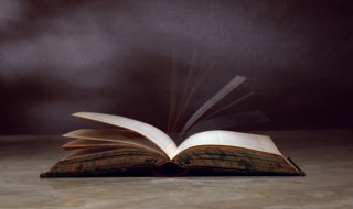 扪虱而言是什么意思 扪虱而言旁若无人