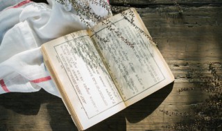 风木之思是什么意思 风木之悲是什么意思