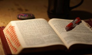 拼搏句子简短（拼搏的句子经典语录简短）